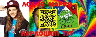 дмт Сланцы