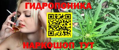 сатива Славянск-на-Кубани