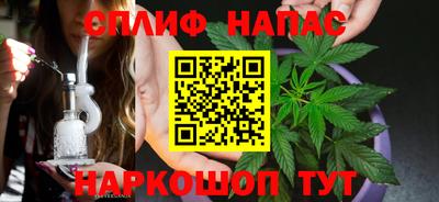 сатива Славянск-на-Кубани